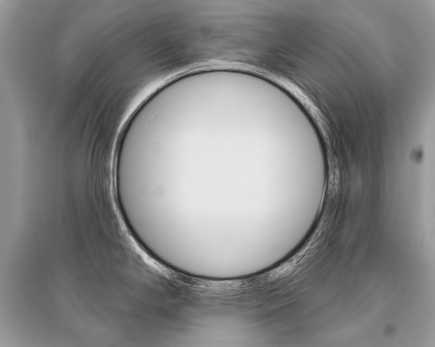 X0000096491294200801241201