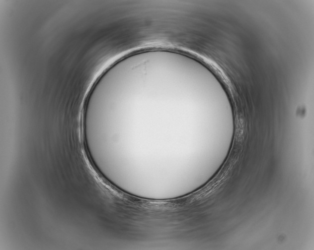 X0000096491295200801241201
