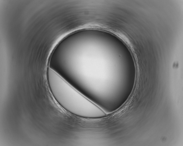 X0000096491296200801241201