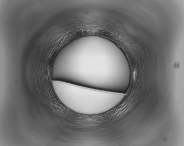 X0000096491299200801241200