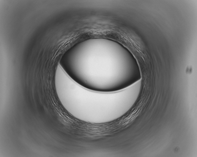 X0000096491300200801241200