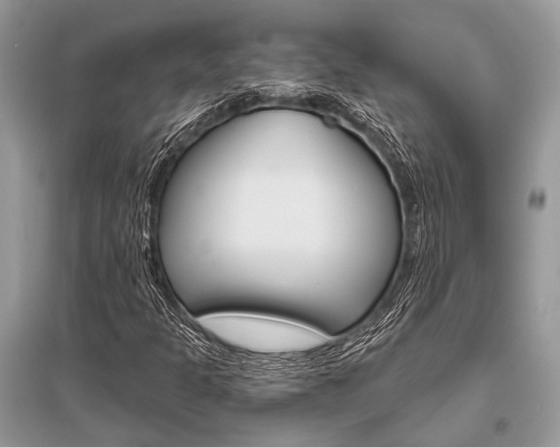 X0000096491301200801241200
