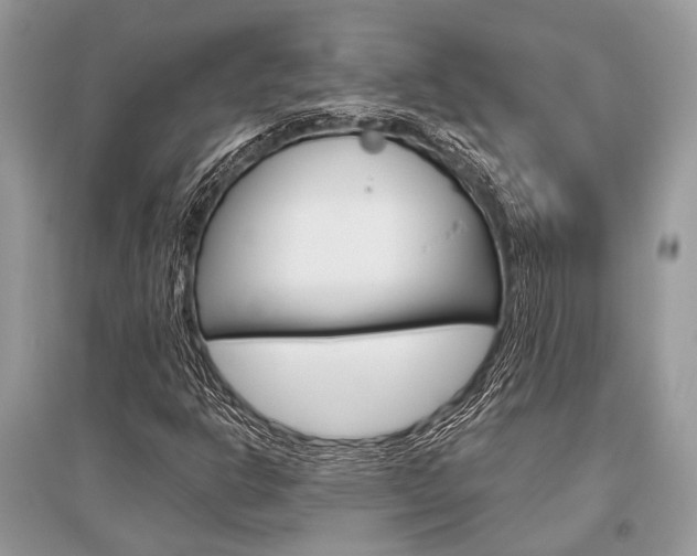 X0000096491302200801241200