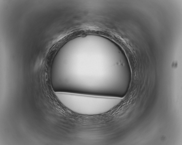 X0000096491303200801241200