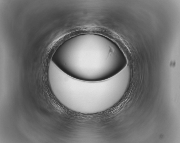 X0000096491304200801241200