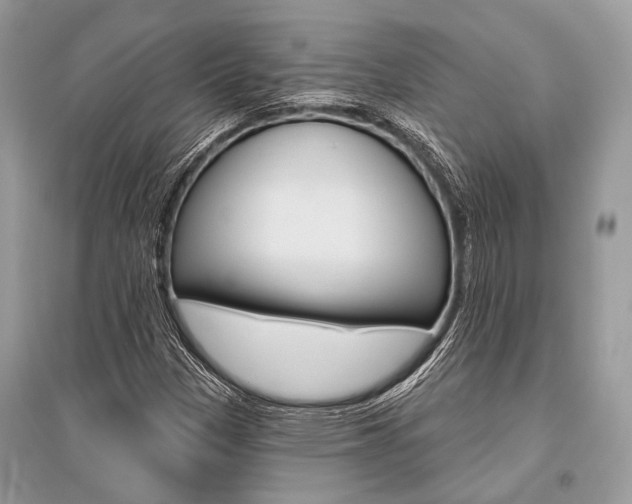 X0000096491305200801241201