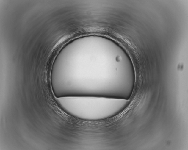 X0000096491306200801241201