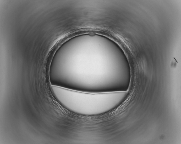 X0000096491307200801241201