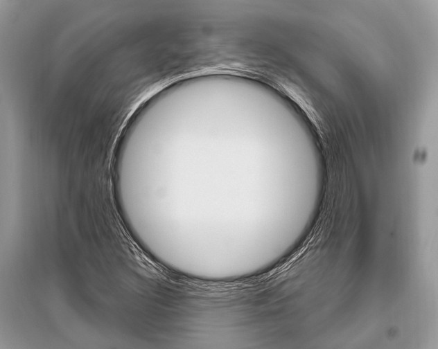 X0000096491308200801241201