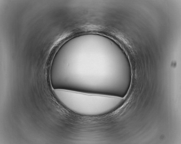 X0000096491309200801241201
