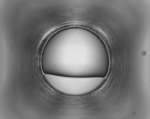 X0000096491310200801241201