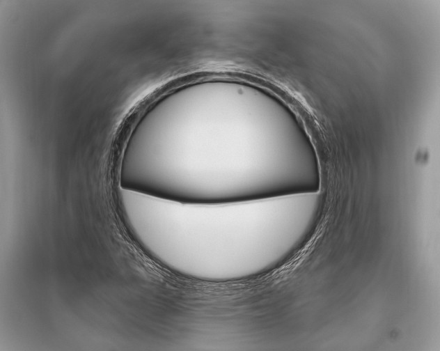X0000096491311200801241201