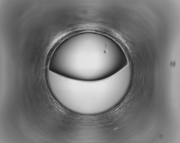 X0000096491312200801241201