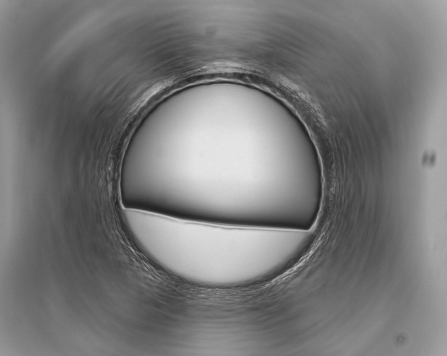 X0000096491313200801241201