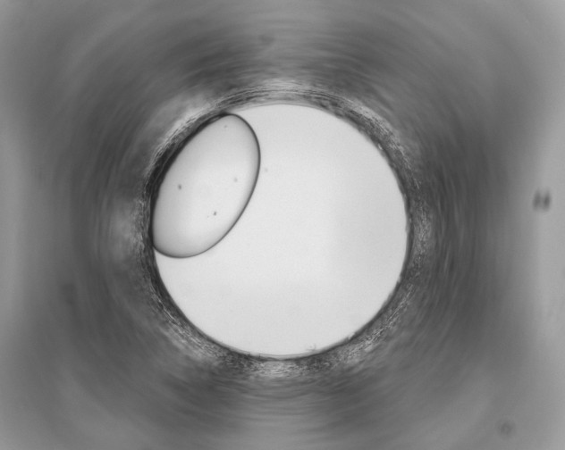 X0000096491314200801241201