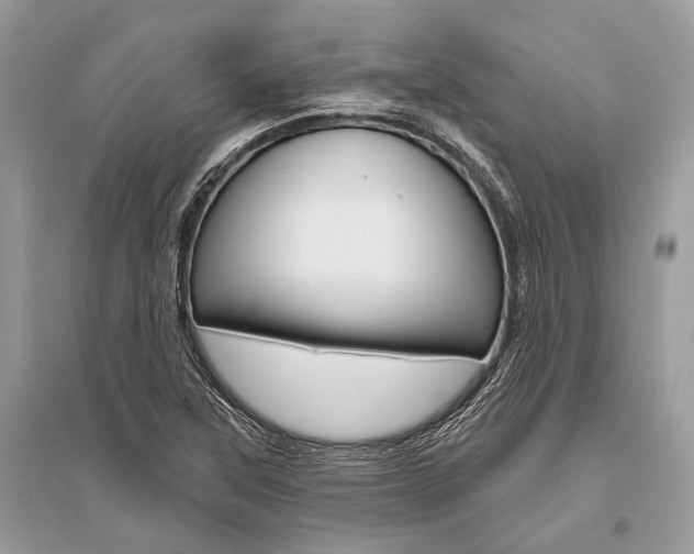 X0000096491315200801241201