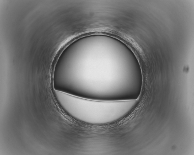 X0000096491316200801241201