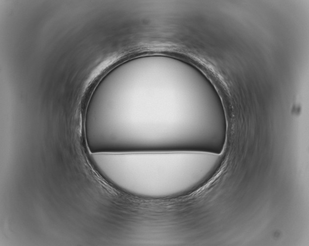 X0000096491317200801241201