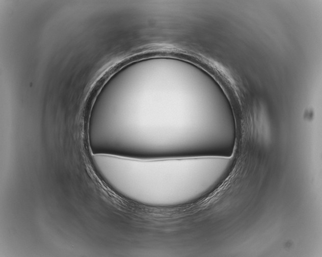 X0000096491318200801241201