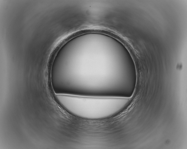 X0000096491319200801241201