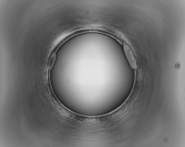 X0000096491320200801241201