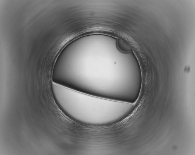 X0000096491321200801241201