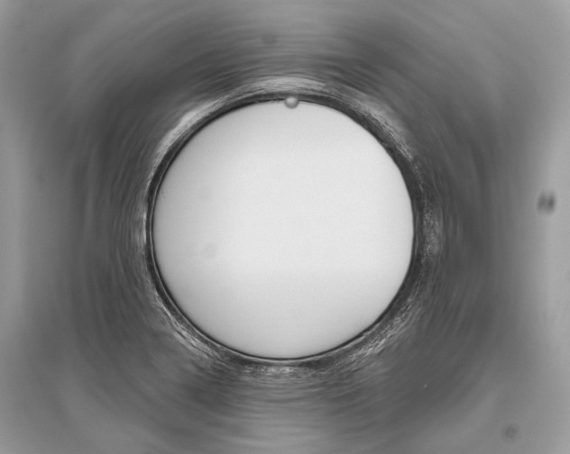 X0000096491322200801241201