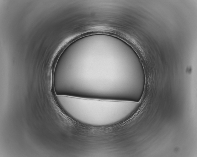 X0000096491323200801241201