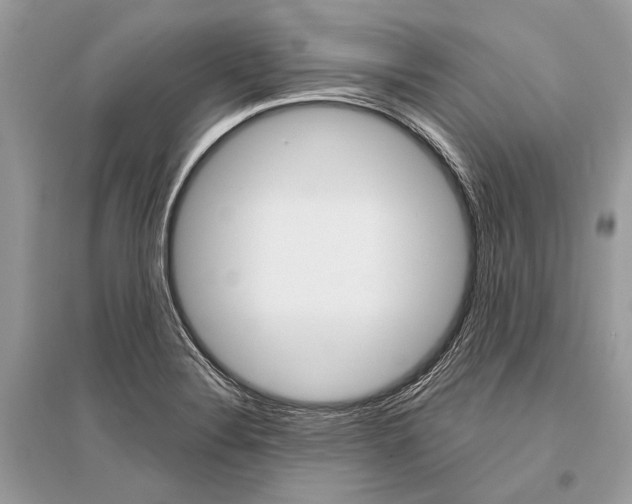 X0000096491324200801241201