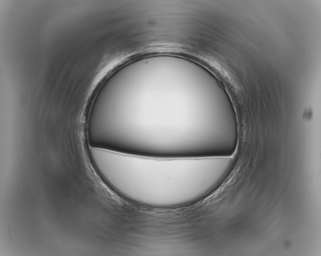 X0000096491325200801241201