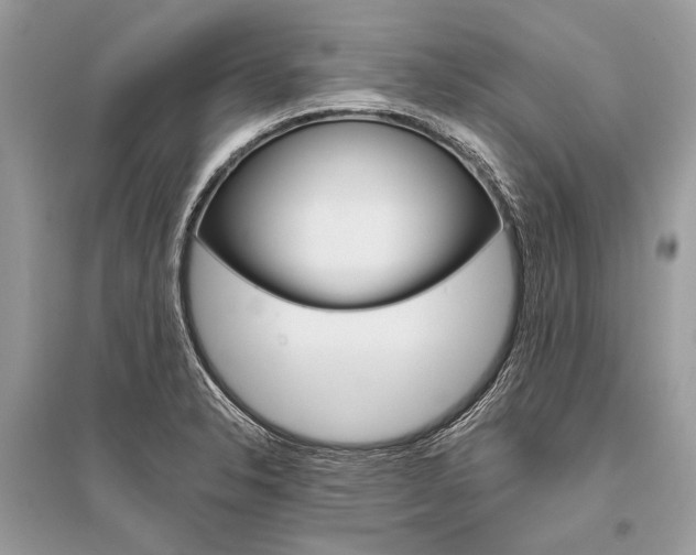 X0000096491326200801241201