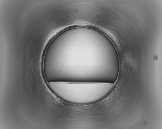 X0000096491327200801241201