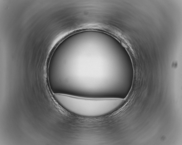 X0000096491328200801241201