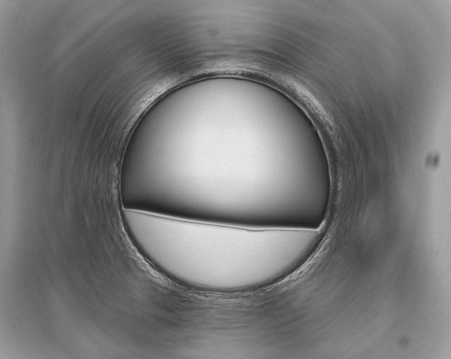X0000096491329200801241201