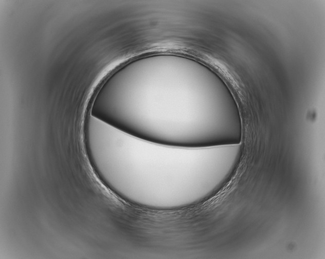 X0000096491331200801241201