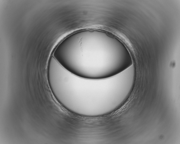 X0000096491332200801241201