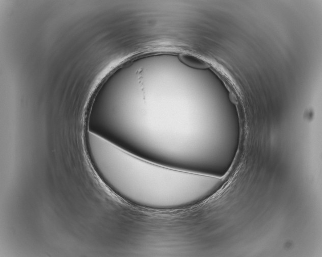 X0000096491333200801241201