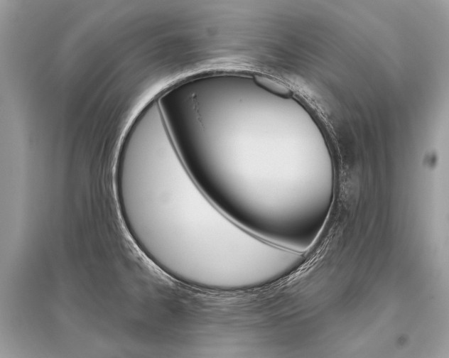 X0000096491334200801241201