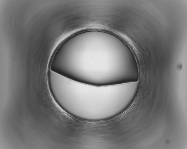 X0000096491335200801241201