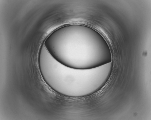 X0000096491336200801241201