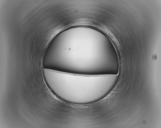 X0000096491337200801241201