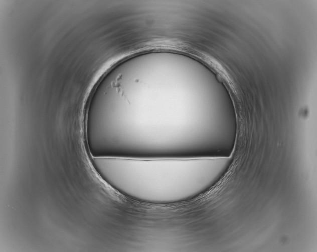 X0000096491339200801241201