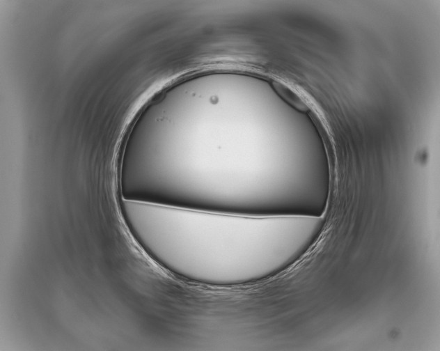 X0000096491341200801241201