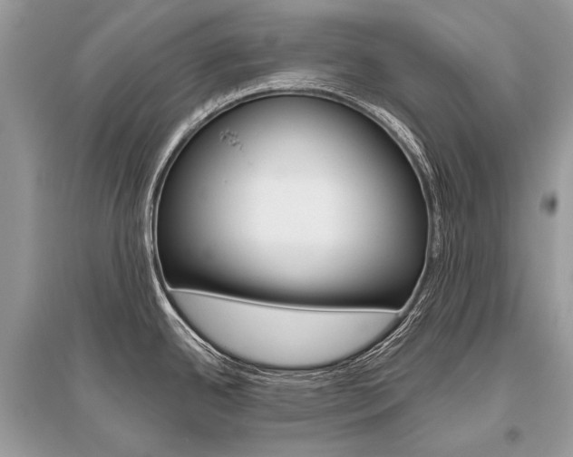X0000096491342200801241201