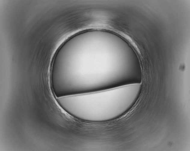 X0000096491343200801241201