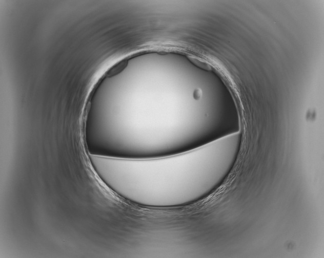 X0000096491344200801241201