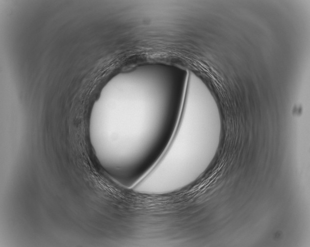 X0000096491345200801241200