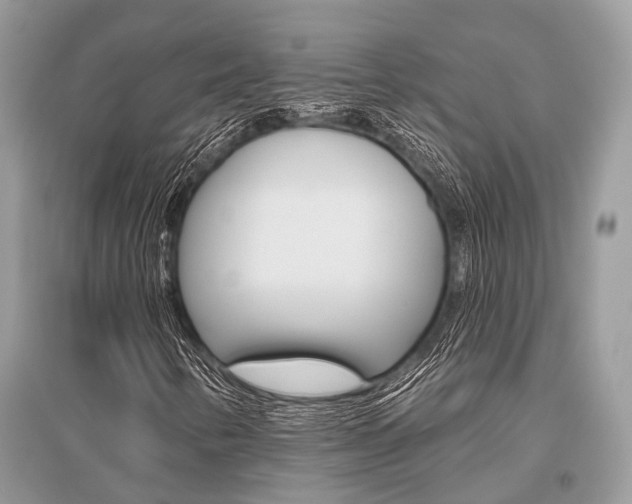 X0000096491346200801241200