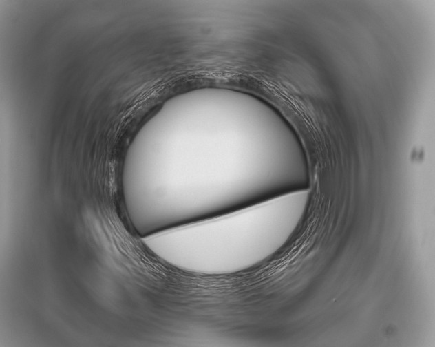 X0000096491347200801241200