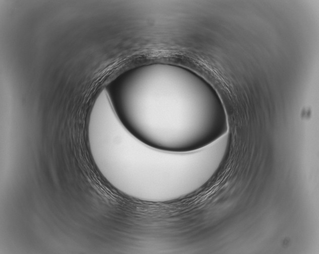 X0000096491348200801241200